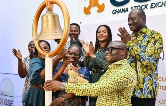 The Ghana Stock Exchange, second best global performance in 2024