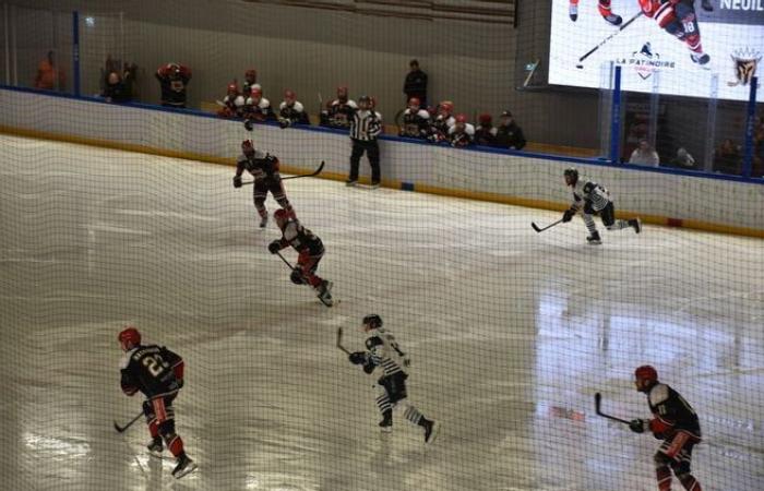 In pictures: relive the ice hockey match between Neuilly-sur-Marne and Dunkirk, played at the Dreux ice rink