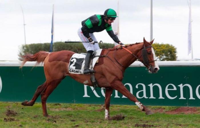 Christian de L’Hermite Prize: Lucky Nonantais, and Bande’s first black type obstacle success