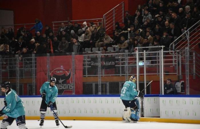 In pictures: relive the ice hockey match between Neuilly-sur-Marne and Dunkirk, played at the Dreux ice rink