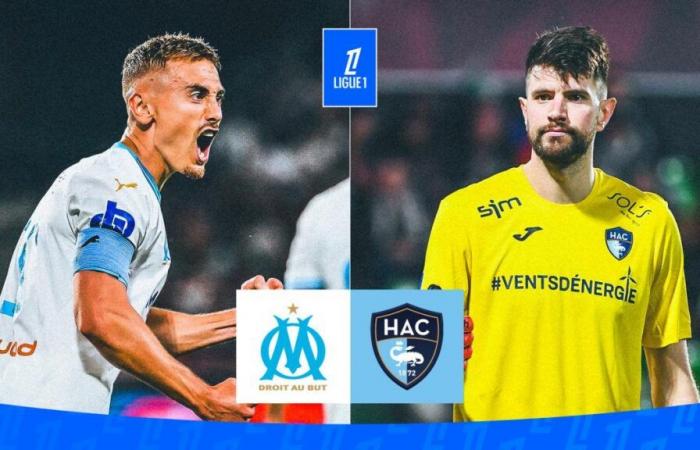 OM-HAC: probable compositions