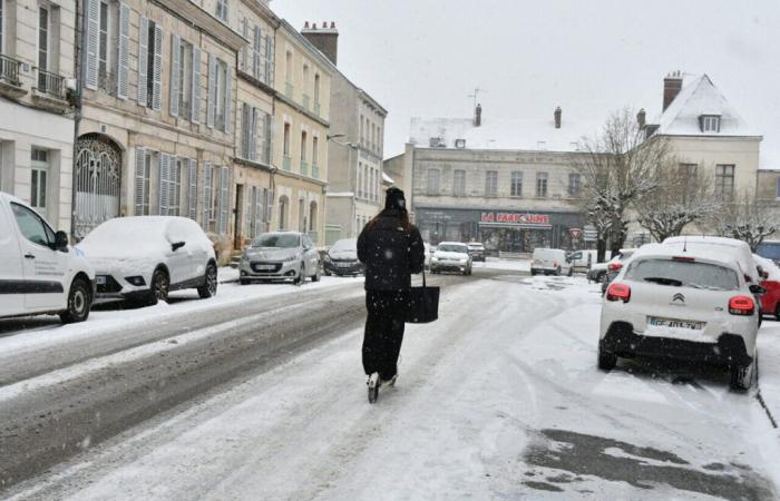 where could the flakes fall? Forecasts