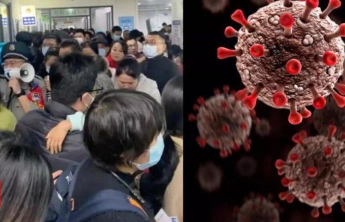 Give timely information on outbreaks in China, India tells WHO