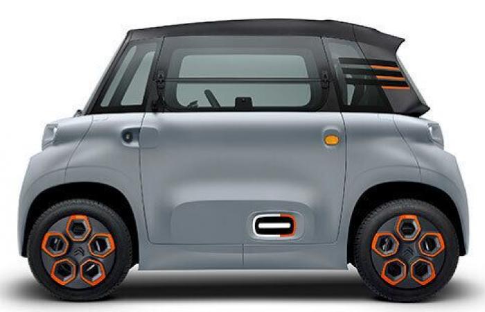 Electric car – What future for the urban minicar? – News