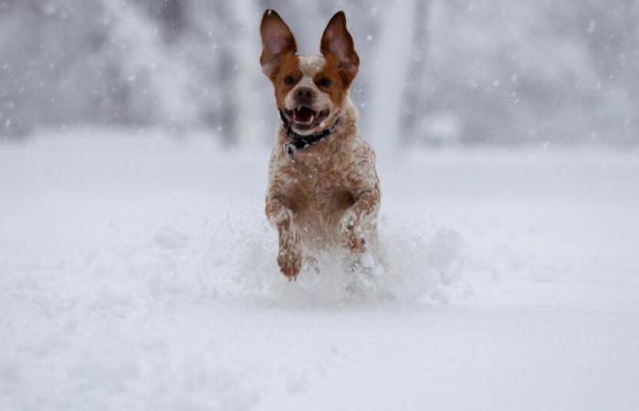 Severe snowstorm in eastern United States