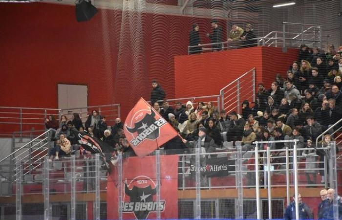 In pictures: relive the ice hockey match between Neuilly-sur-Marne and Dunkirk, played at the Dreux ice rink