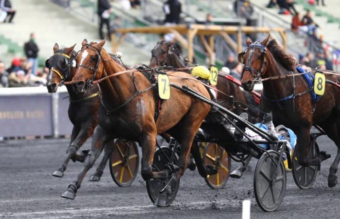 Jack Tonic wins the Quinté Prix de Lille at Vincennes