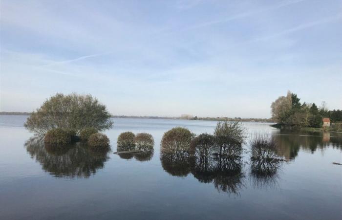 outings offered in January to enjoy the white marshes