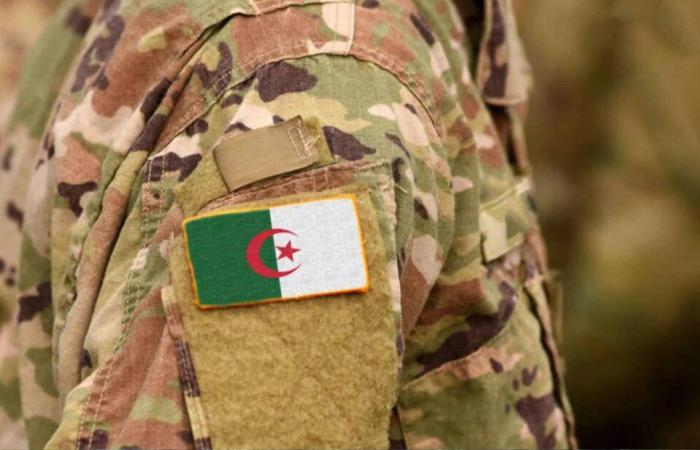 National service for Algerians in France: an important notice issued