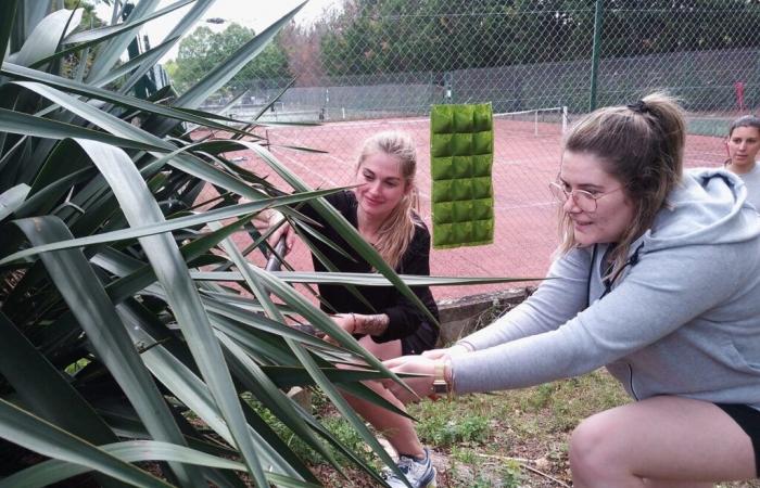 Unusual. This Tarn tennis club won a Coupe de France, but off the courts