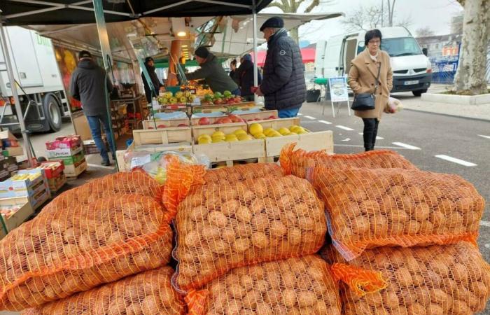 Montceau – The Saturday market victim of a cold snap, it works less well, explanations