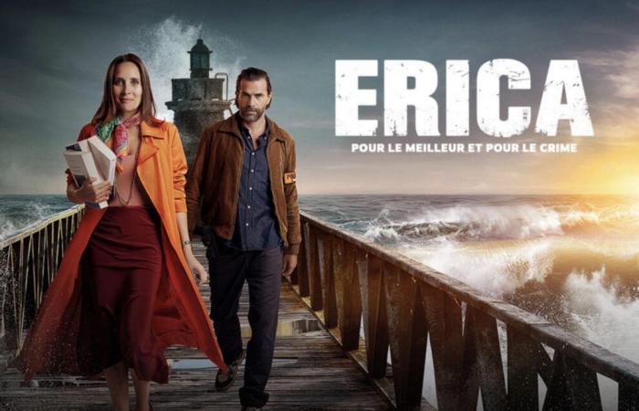 Summaries of episodes of the series Erica, with Julie de Bona and Grégory Fitoussi on TF1.