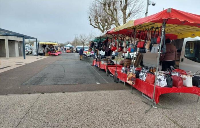 Montceau – The Saturday market victim of a cold snap, it works less well, explanations