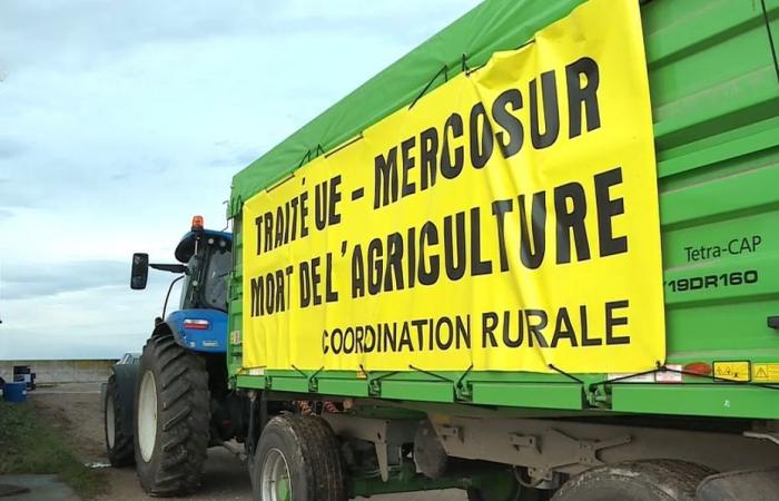 Farmers from Rural Coordination on their way this Sunday evening to Paris