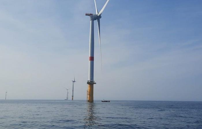 The wind farm project off the coast of Dunkirk widely contested in Belgium