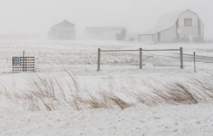 Severe snowstorm hits eastern United States