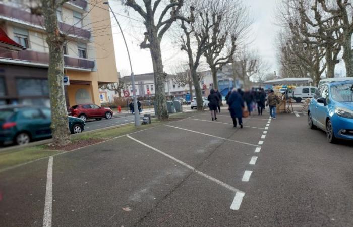 Montceau – The Saturday market victim of a cold snap, it works less well, explanations