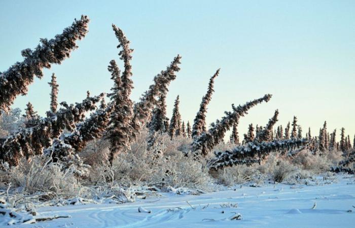 Arctic permafrost is thawing. Here’s what it means for Canada’s North – and the rest of the world