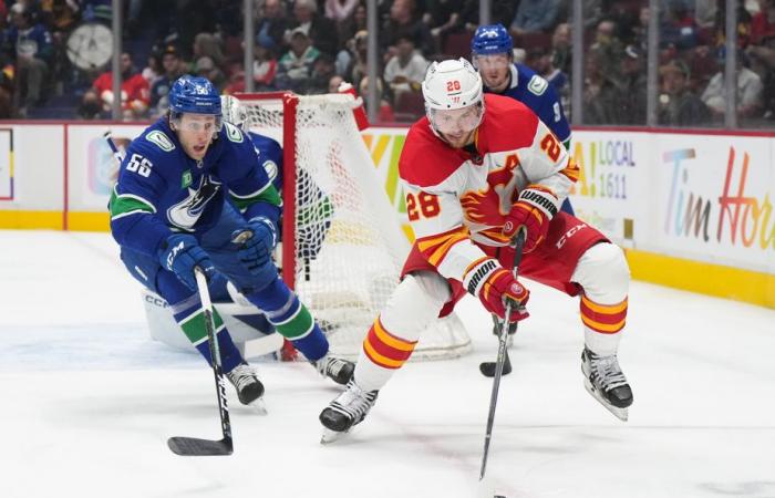 Guillaume Brisebois | A fighter for the Vancouver Canucks