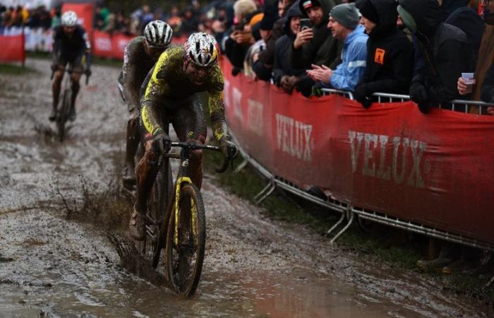 IN PICTURES. Cycling: impressive victory for Wout van Aert covered in mud, the Belgian wins cyclo-cross in difficult conditions