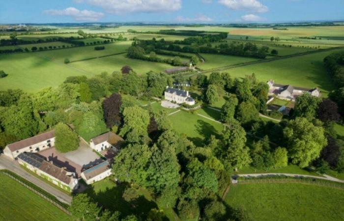 This luxurious stud farm in Orne officially bought by an Abu Dhabi company