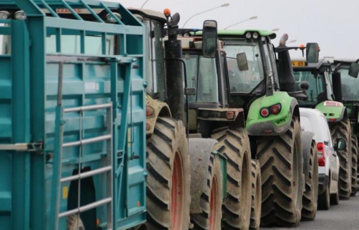 Rhône farmers mobilize their tractors to block Lyon this Monday