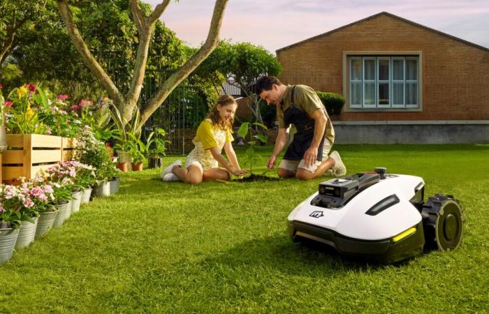 How these two robot mowers adapt to small and medium-sized yards