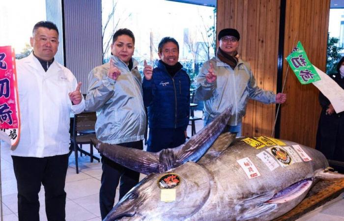 A bluefin tuna worth 1.1 million francs opens the year in Tokyo