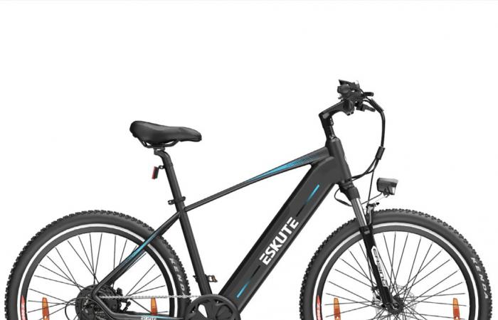 Banggood destroys the price of ESKUTE Netuno PLUS electric bike with torque sensor