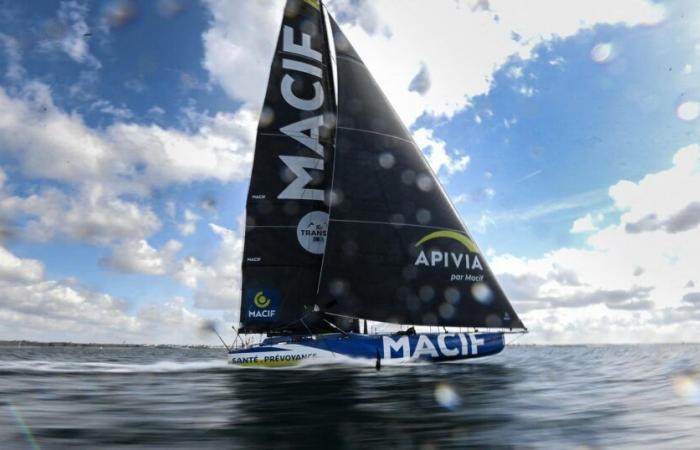 Vendée Globe: The duel continues between Charlie Dalin and Yohann Richomme as they approach the equator