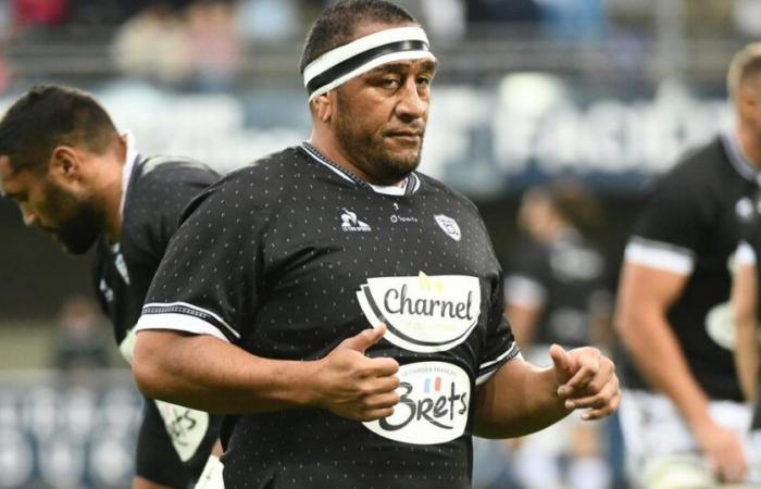 In Vannes, the good air of Brittany for Mako Vunipola