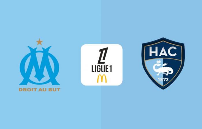 Le Havre: at what time and on which channel to watch the match live?