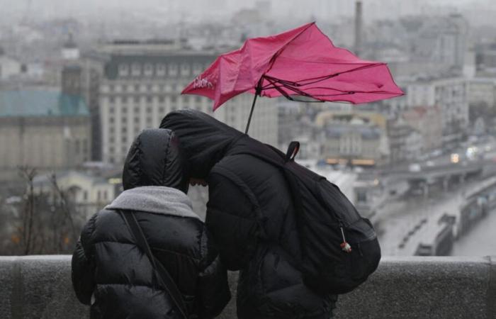 Gusts of up to 90 km/h and heavy rain expected: several Walloon provinces on yellow alert