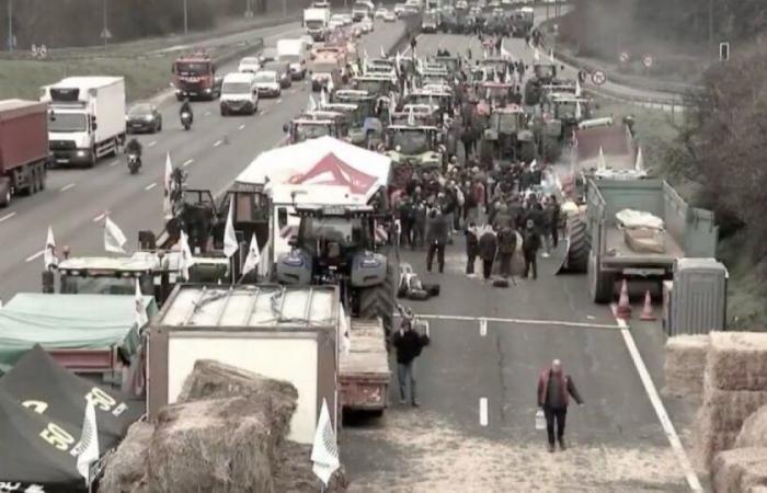 Agricultural anger: Rural Coordination mobilized to “encircle Paris”: News