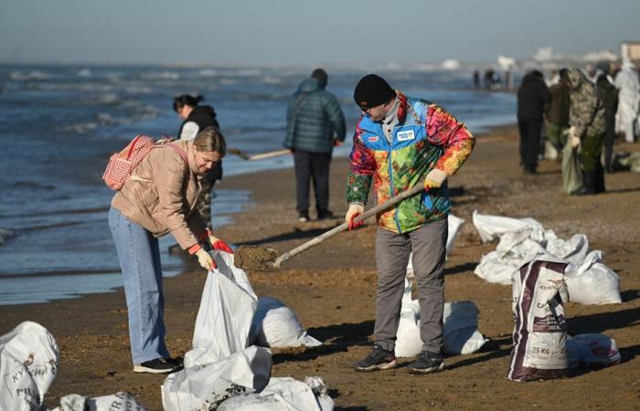 Oil spill in Russia | More than 30 cetaceans found dead in the Black Sea