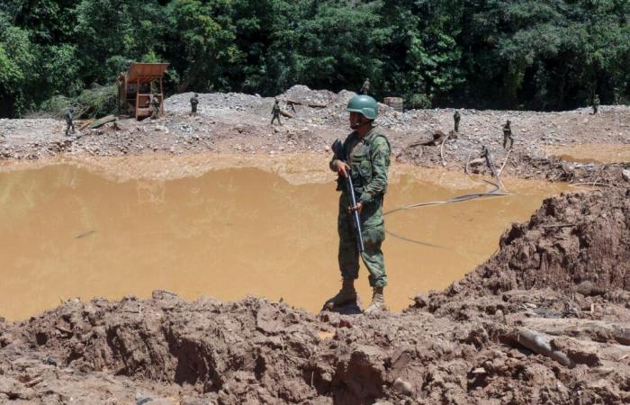 In the Ecuadorian Amazon, authorities unable to stem the gold rush, “catastrophic” for the region