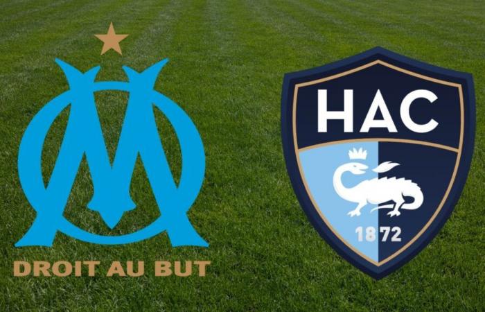 Le Havre: at what time and on which channel to watch the Ligue 1 match live?