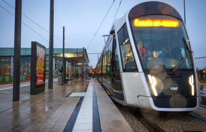 Drunk man attacks tram driver in capital