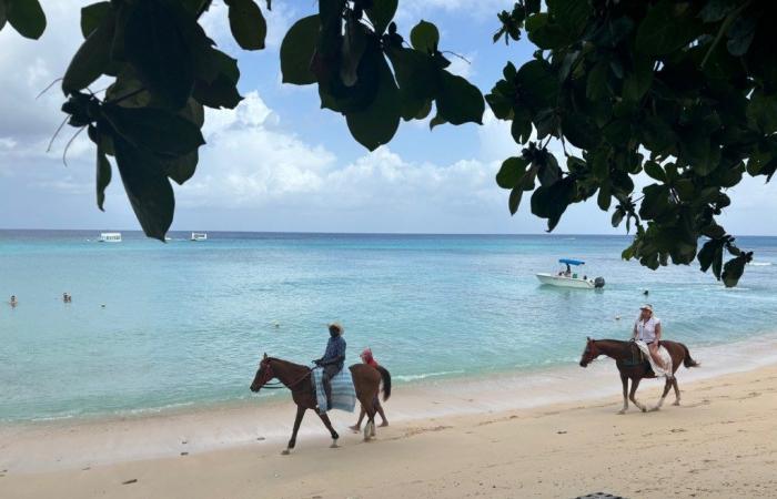 The House wins as an elegant, intimate, cozy touch of luxe escape in Barbados