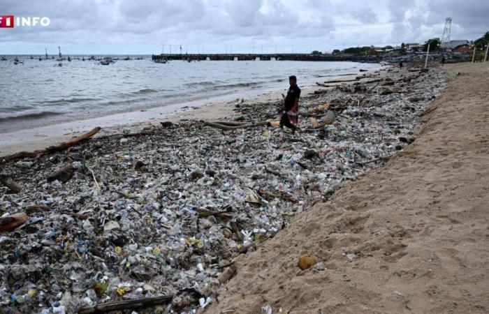 “We have never seen such an accumulation”: a tide of plastic waste washes up on Bali’s beaches