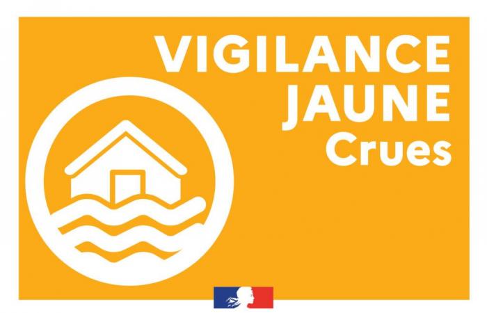 Flood vigilance | Yellow level – Rivière de l’Oust – Sunday January 5, 2025 – News – News