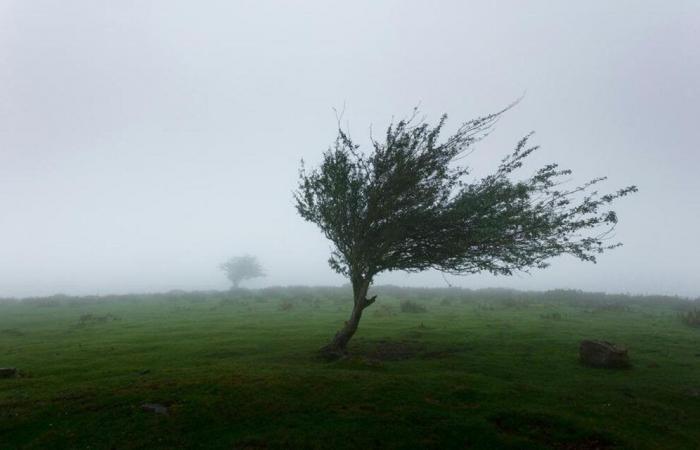 Storm Floriane arrives in France: 21 departments placed on orange vigilance