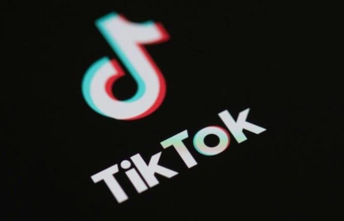 A third Algerian influencer, Doualemn, arrested in France for calling for violent acts on Tiktok