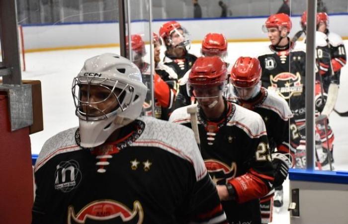 In pictures: relive the ice hockey match between Neuilly-sur-Marne and Dunkirk, played at the Dreux ice rink