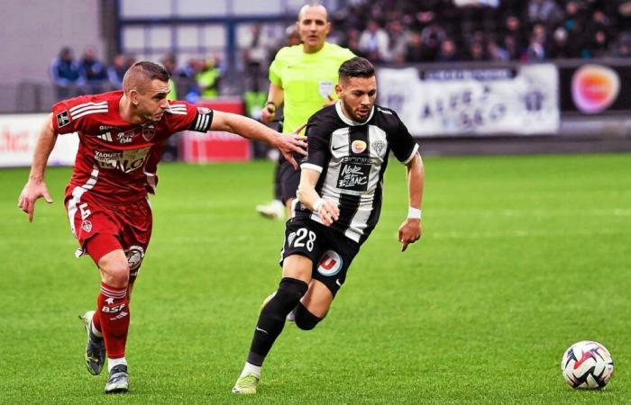 Angers – Brest: in Ligue 1, a Stade Brestois with two faces