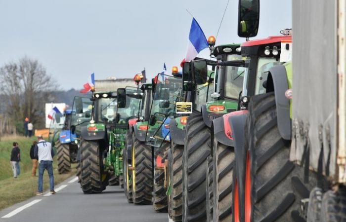 DIRECT. Anger of farmers: “Everything will go as planned” in order to “encircle Paris”, says the boss of Rural Coordination