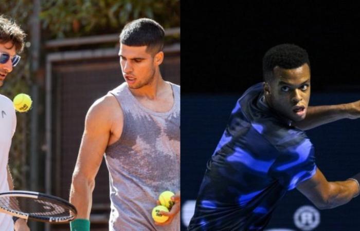 Tennis. Australian Open – Carlos Alcaraz will strike on Monday with… Giovanni Mpetshi!