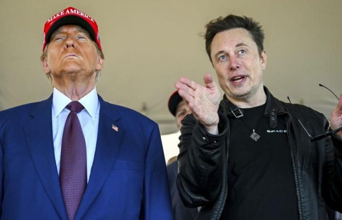 German media promotes fascist oligarch Musk and far-right Alternative for Germany party