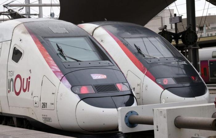 “A hell of a hassle”: several thousand travelers stranded near Rennes after a train problem