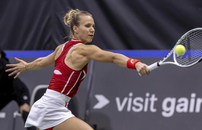 Nine Swiss competing in Australian Open qualifying